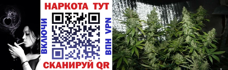 Купить закладку Alpha-PVP  Бошки Шишки  МЕФ  Амфетамин  ГАШ  Минусинск