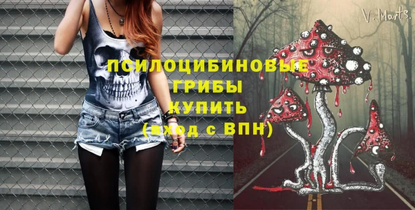 меф Бородино