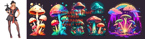 ГАЛЛЮЦИНОГЕННЫЕ ГРИБЫ Бугульма