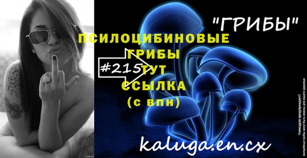 ГАЛЛЮЦИНОГЕННЫЕ ГРИБЫ Бугульма